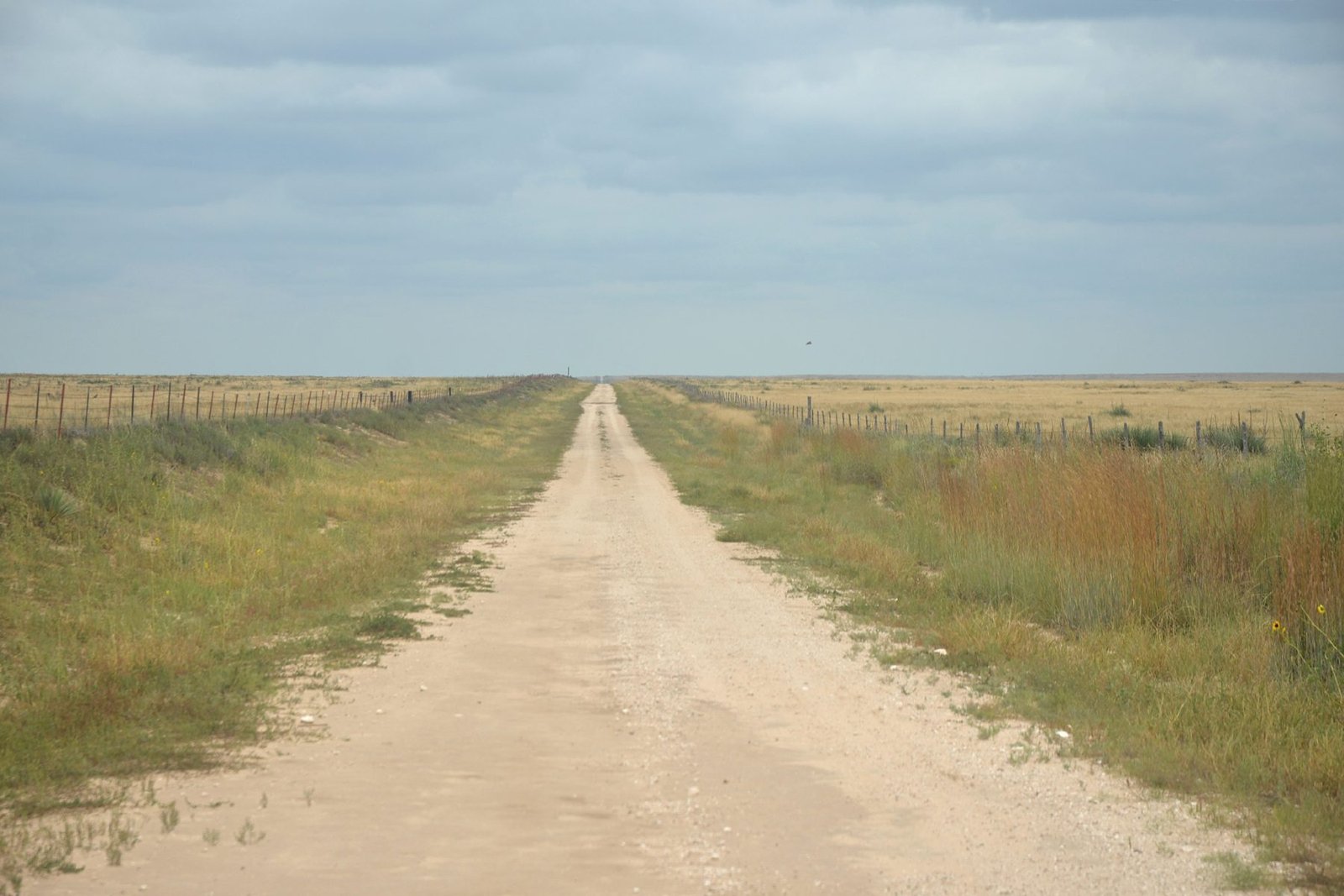 A straight caliche road running across flat grassland to the horizon