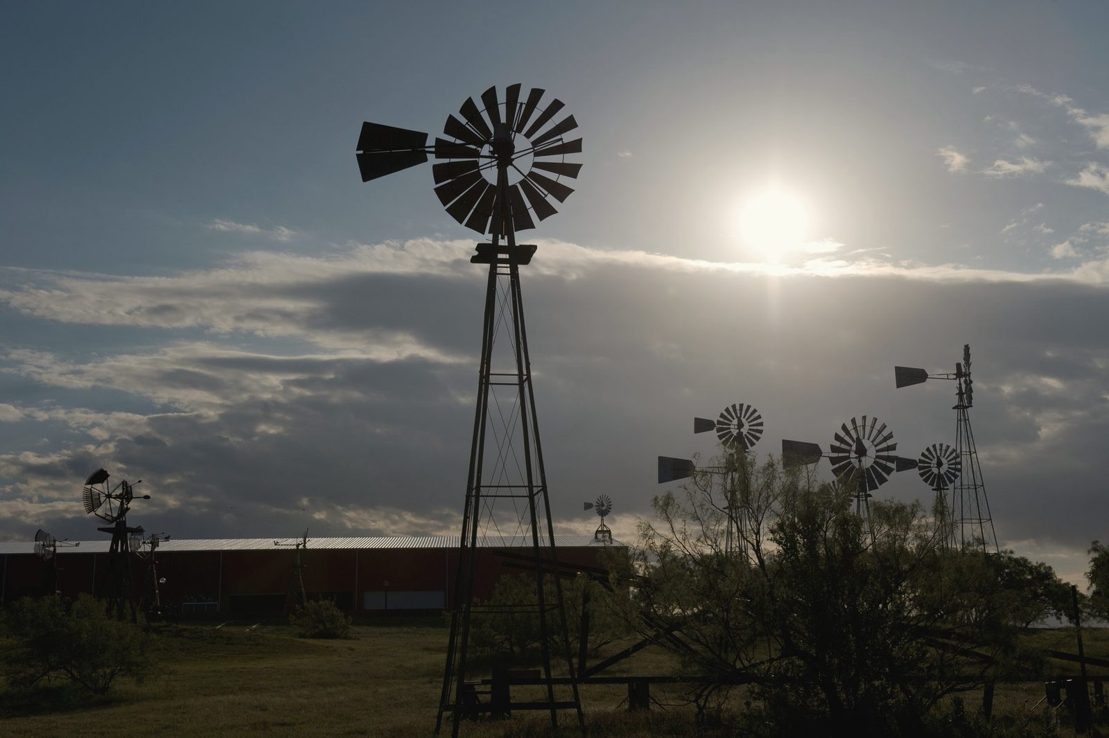 Several restored windmills silhouetted at dusk with the sun behind thin cloud